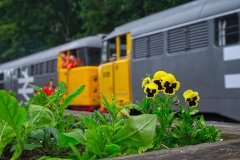 Colour Coordination at West Ingrow