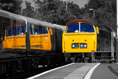 D1015 at Alton