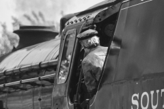 Repton Driver