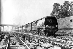 No.35017 'Belgian Marine'