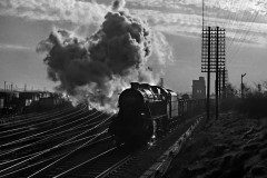 8F 2-8-0 48545 at Wigston North Junction, 1965