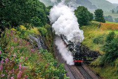 2nd-place-19-25-category-No.-46115-Scots-Guardsman-by-Liam-Barnes-20